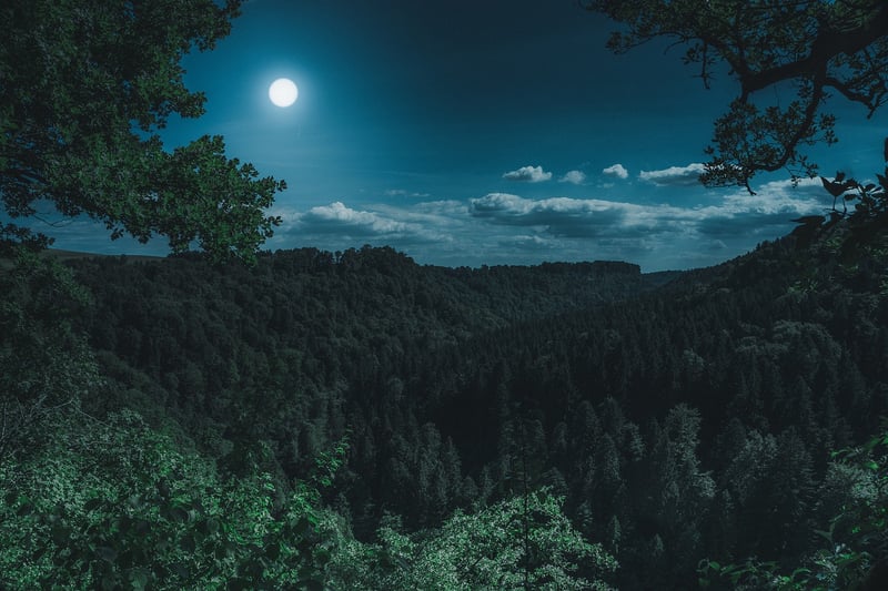 Moonlit Magic Theme